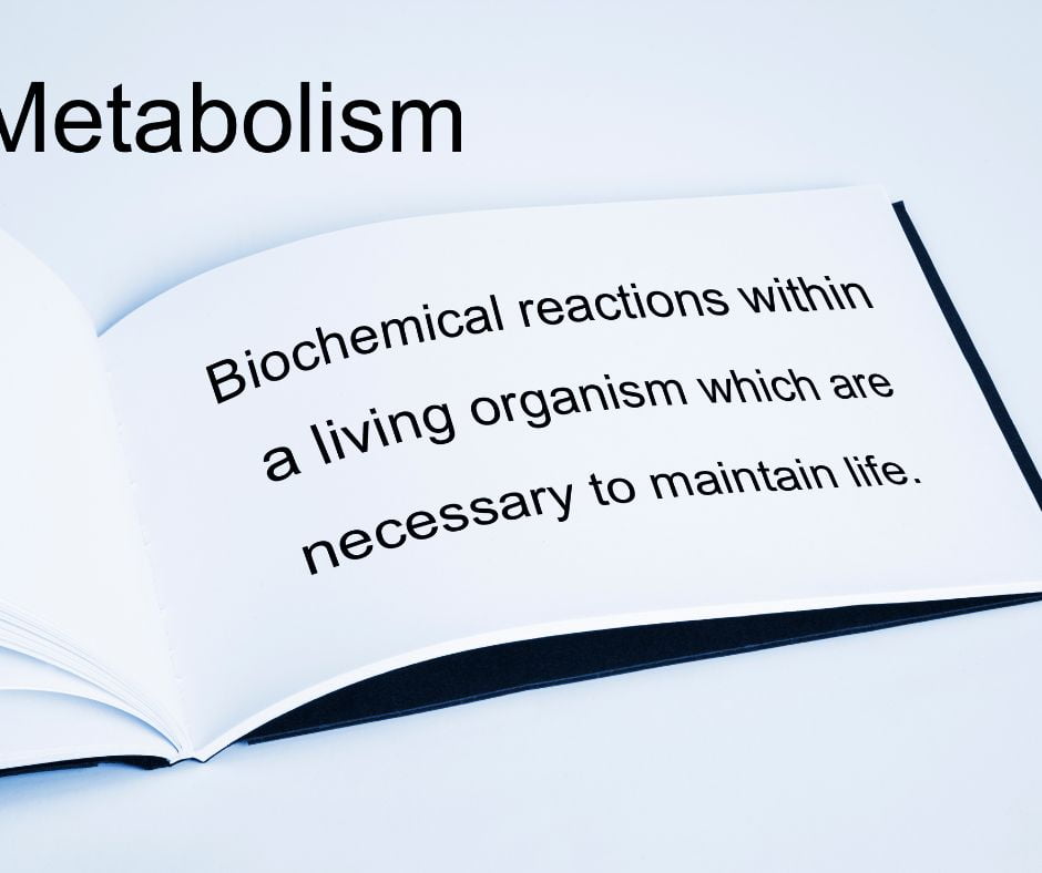 Boosting Metabolism